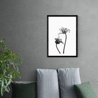 East End Prints Iris Print