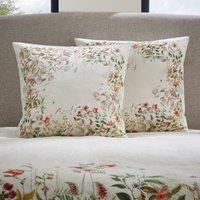 Dorma Rambling Rose Cream Continental Pillowcase Pink