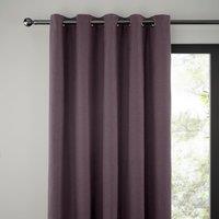 Jennings Thistle Eyelet Curtains purple