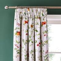 Dorma Fruit Orchard Blackout Pencil Pleat Curtains Red