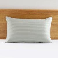 Spencer Pinsonic Pillowsham