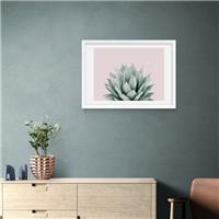 East End Prints Blush Succulent Print