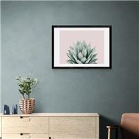 East End Prints Blush Succulent Print