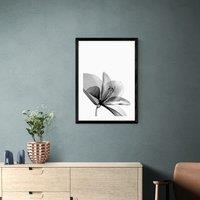 East End Prints Amaryllis Print