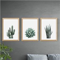 Set of 3 East End Prints Succulent Gallery Wall Prints