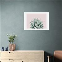 East End Prints Blush Succulent Print