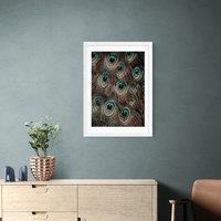 East End Prints Peacock Feathers Print