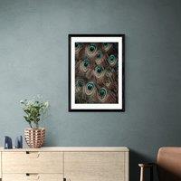 East End Prints Peacock Feathers Print