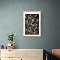 East End Prints Peacock Feathers Print