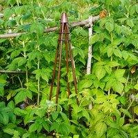 Outdoor Plant Support Tripod Climber Bronze