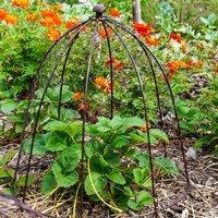 Outdoor Wire Netted Plant Protector