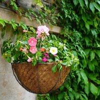 Netted Wire Hanging Basket Zinc