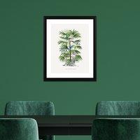 The Art Group Zebra Palm Framed Print