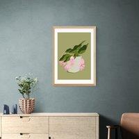 East End Prints My Medinilla Magnifica Print