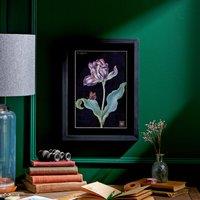 Tulip Framed Print