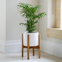 Anzio Plant Pot With Stand White