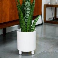 Pisa Plant Pot White