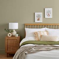 Dunelm French Sage Eggshell Paint