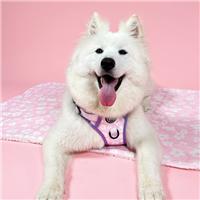 Pawsome Paws Boutique Pink Flowers Dog Blanket