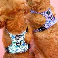Tiny Diny Adjustable Dog Harness