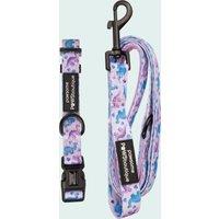 Pawsome Paws Boutique Tiny Diny Dog Collar and Lead Set