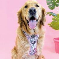 Sprinkles Tough Trails Dog Harness
