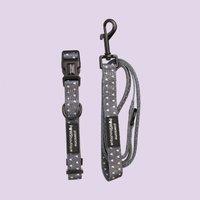 Blackjack Dog Collar and Lead Set