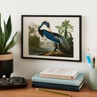 JJ Audubon Louisiana Heron Poster