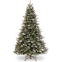 6.5ft Snowy Sheffield Spruce Christmas Tree