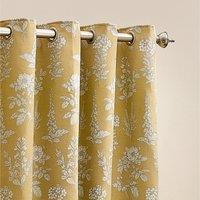 Sophia Eyelet Curtains