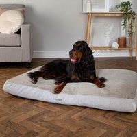Scruffs Harvard Memory Foam Orthopaedic Pet Mattress