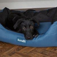 Scruffs Expedition Box Bed Blue