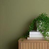 Dunelm Light Moss Matt Emulsion Paint