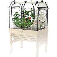 VegTrug Small Classic Greenhouse Frame and Cover Set Clear