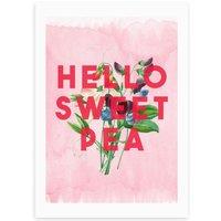 East End Prints Hello Sweet Pea Print by The 13 Prints