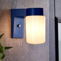 Elements Taylor Industrial Outdoor Wall Light