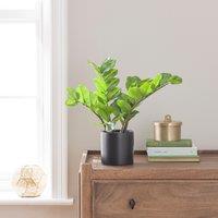 Artificial ZZ Plant in Black Ceramic Plant Pot