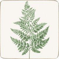 Fern Pack of 4 Corkback Coasters