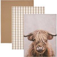 Highland Cow Set of 3 Tea Towels