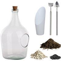 Fallen Fruits DIY 3 Litre Terrarium Bottle Kit