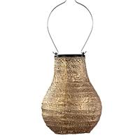 Fallen Fruits Bulb Occult Solar Lantern