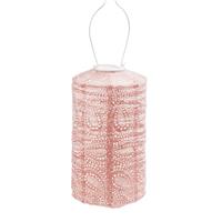 Fallen Fruits Cylinder Paisley Solar Lantern