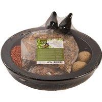 Fallen Fruits Bird Bath Ceramic Black Round with Bird Food