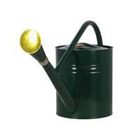 Fallen Fruits 7.5L Watering Can Green