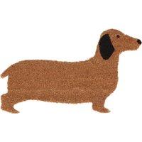 Fallen Fruits Dachshund Coir Doormat