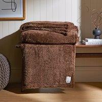 Teddy Bear Throw Blanket