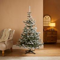 6ft Snowy Nordmann Fir Christmas Tree