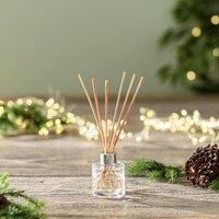 Mulled Wine Diffuser