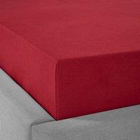 Dorma Premium Brushed Cotton Fitted Sheet