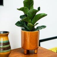 Pisa Plant Pot